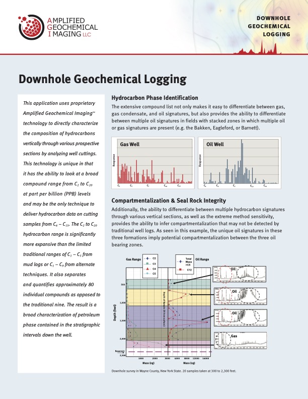 Downhole Geochemical Logging