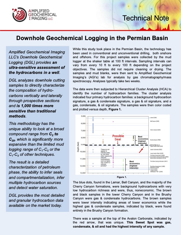 Permian Case Study