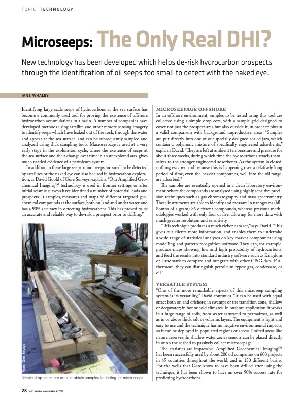 Microseeps: The Only Real DHI?